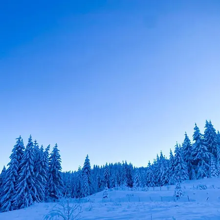 Apartamento Panorama View-stoykite Stoykite