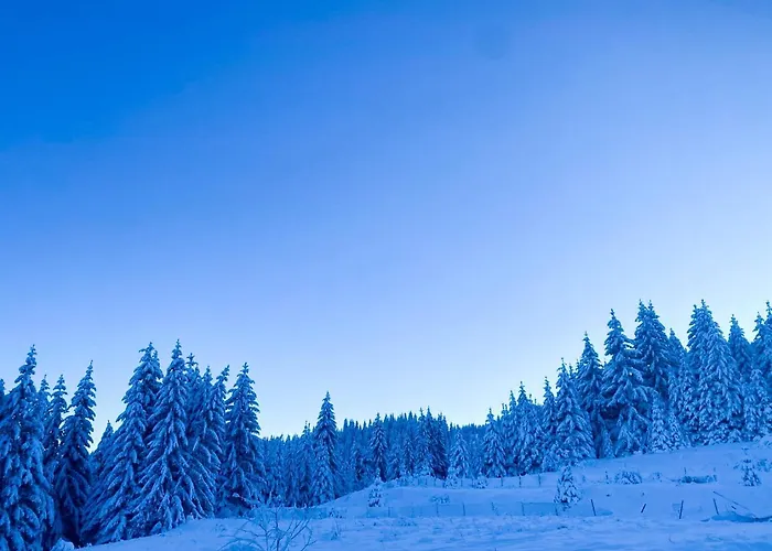 Apartamento Panorama View-stoykite Stoykite